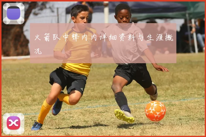 火箭队中锋内内详细资料与生涯概况
