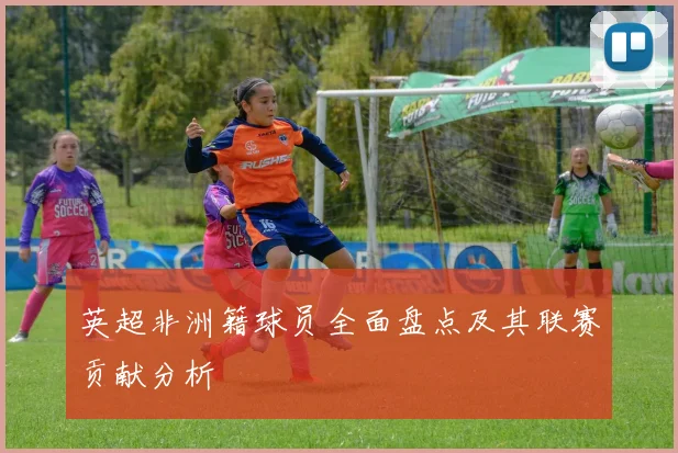 英超非洲籍球员全面盘点及其联赛贡献分析